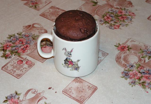 Mug cake au chocolat noir