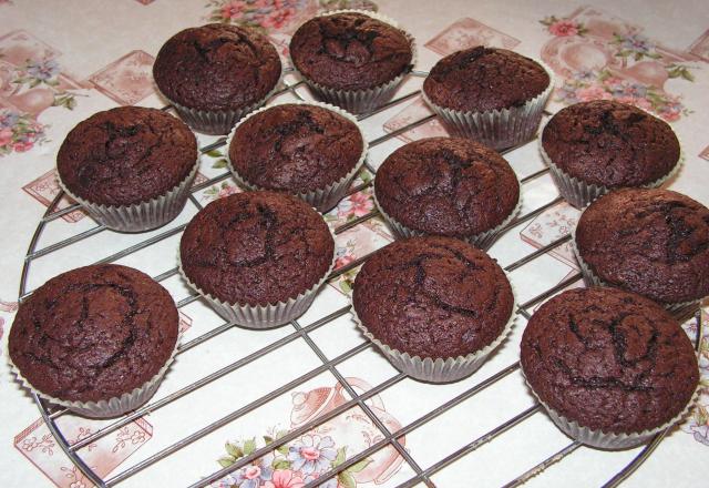 Muffins au chocolat noir et au cacao en poudre