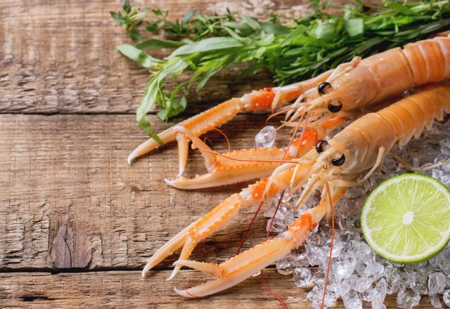 Comment réussir la cuisson des langoustines ?