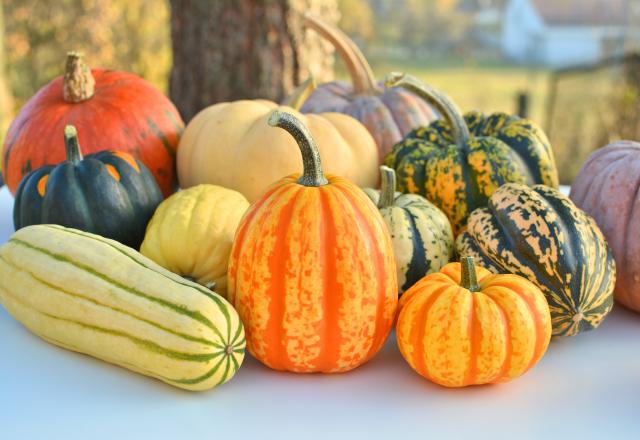 Quelle courge pour faire de la purée ?