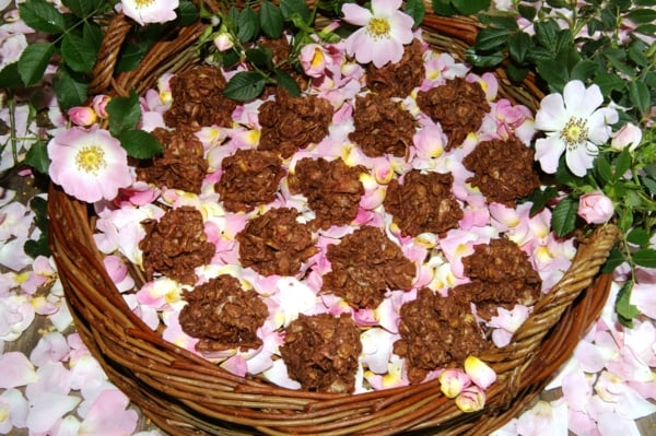 Roses des sables pour enfant