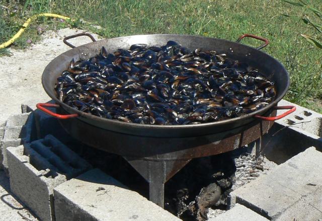 Les moules à la crème et légumes du Sud