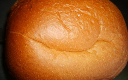 Brioche au yaourt de soja et fleur de châtaigne