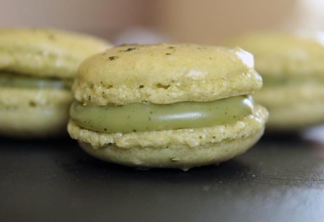 Macarons au thé vert matcha