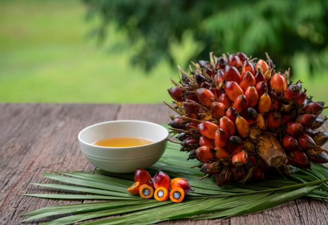 L'Indonésie suspend son exportation d'huile de palme, quelles conséquences pour la France ?