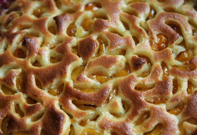 “Très très bon” : vous allez vous régaler avec notre recette de clafoutis aux mirabelles facile et rapide à faire