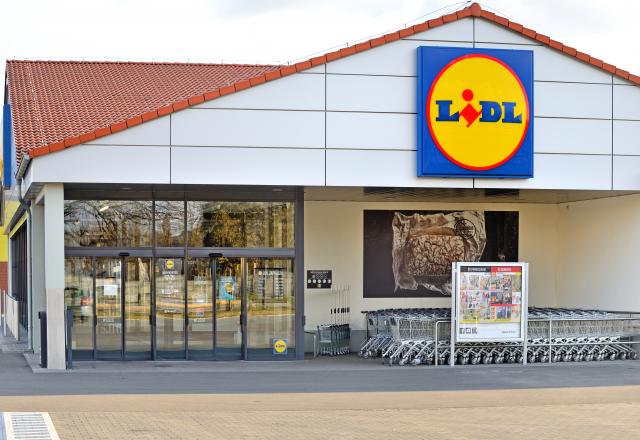 LIDL : vous allez enfin pouvoir régler vos courses avec vos titres restaurants mais sous quelques conditions !