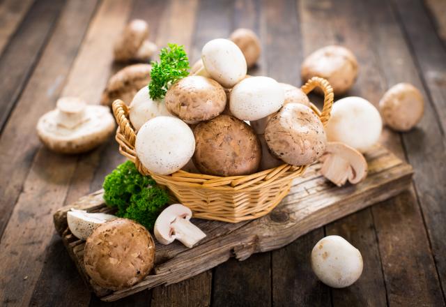 Conservation des champignons : quelle est cette erreur que l’on fait tous ?