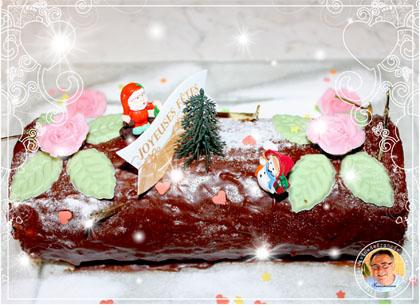 Bûche de Noël au chocolat et pistaches