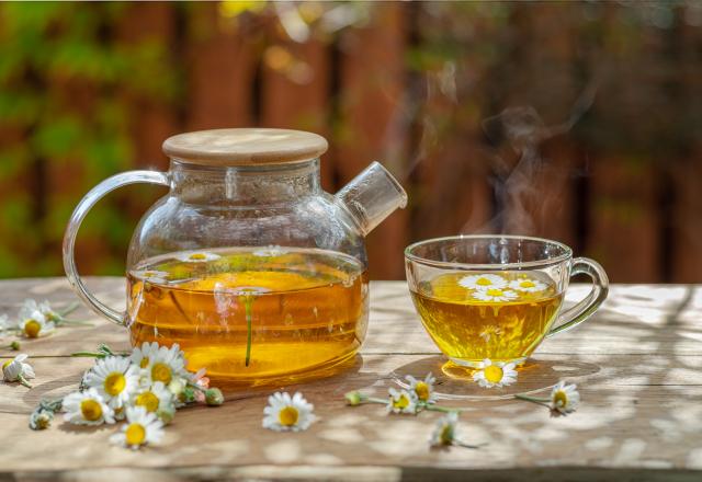 Cette tisane de nos grands-mères cache bien plus de bienfaits qu’on ne le pense !