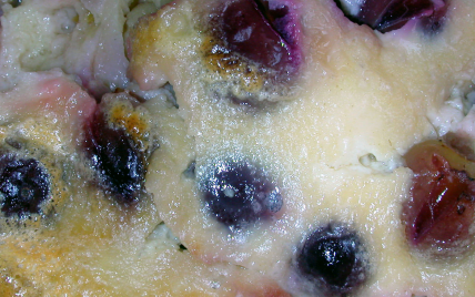 Clafoutis des vendanges