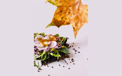 Salade de quinoa et de radis