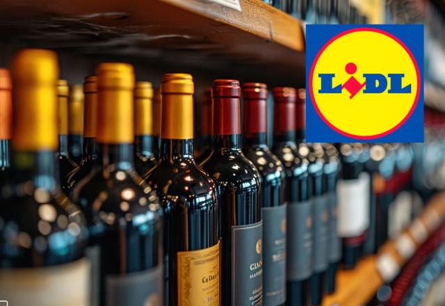 Foire aux vins LIDL 2024 : les meilleures affaires à ne pas manquer !