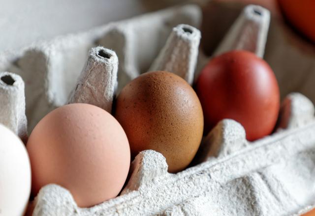 Pourquoi les oeufs ne sont pas tous de la même couleur dans la boîte ?