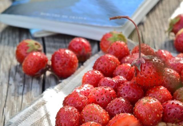 Tartine fraises et beurre de cacahuète