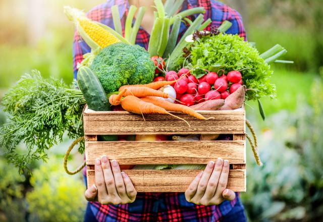 Quels sont les fruits et les légumes les plus touchés par les pesticides ? 60 Millions de consommateurs répond