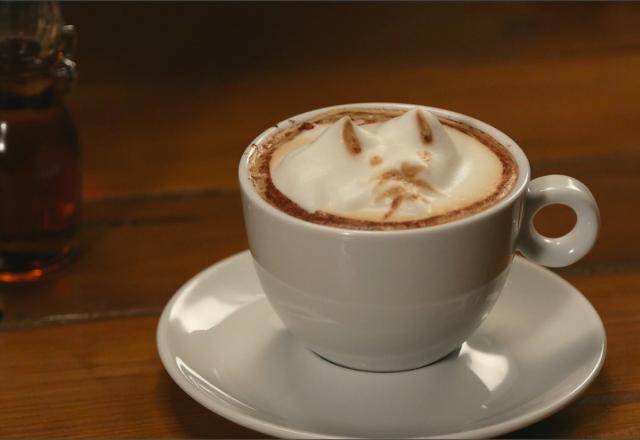 Chaton 3D en Latte Art