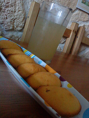 Madeleines parfumées aux zestes de citron