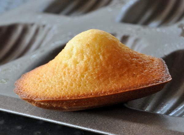 Madeleines à la vanille