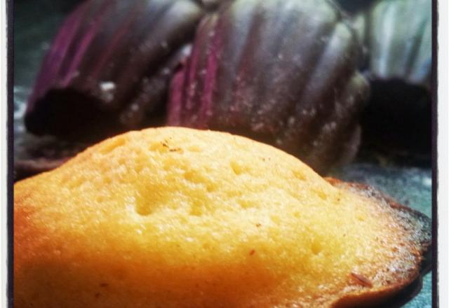 Madeleines au citrons en coque de chocolat noir sans lactose