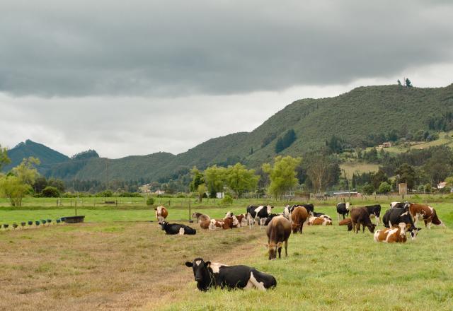 Pourquoi notre alimentation est la principale cause du jour du dépassement