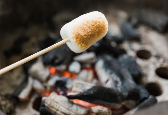 Brico débrouilles BBQ : Comment faire un barbecue, sans barbecue ?