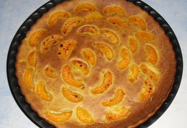 Flan de courgette sucré aux abricots