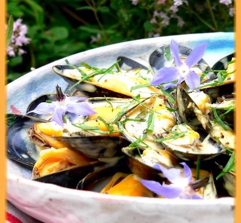 Salade de moules de bouchot, sauce légère au curry