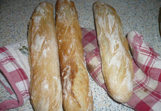 Baguette Tradition