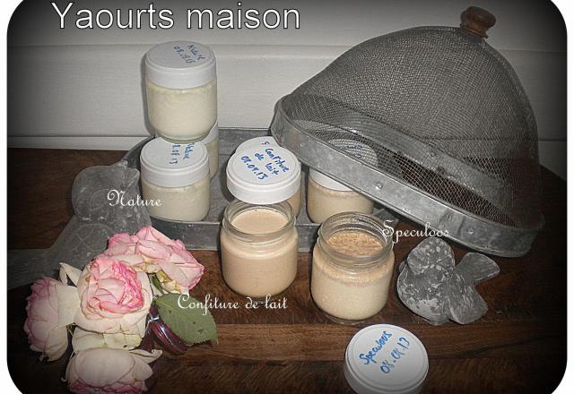 Yaourts "maison" speculoos et confiture de lait