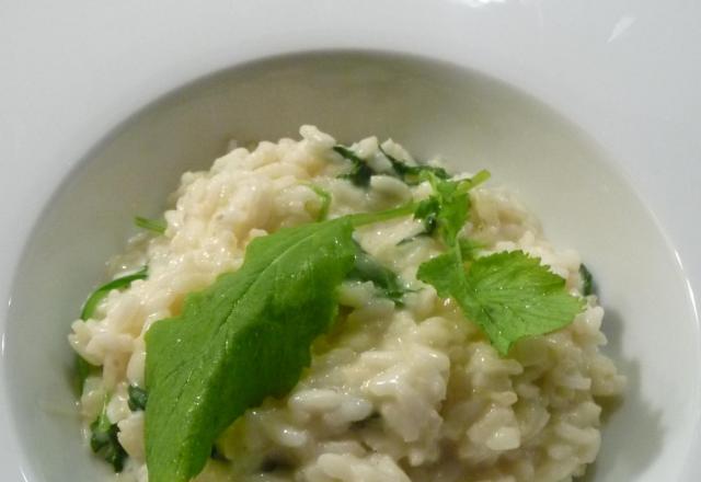 Risotto aux fanes de radis