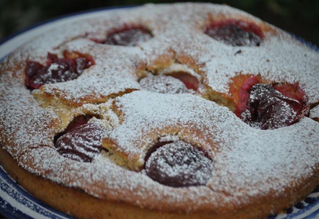 Tarte à l'épeautre et aux prunes rouges