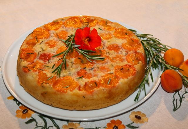 Gâteau renversé aux abricots et romarin, huile d'olive et miel