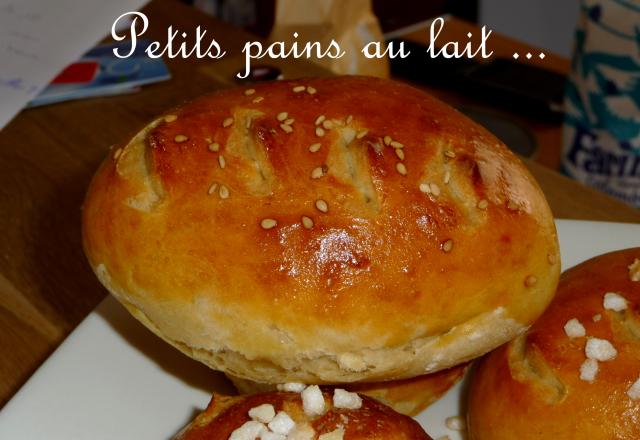 Petits pains au lait salés ou sucrés