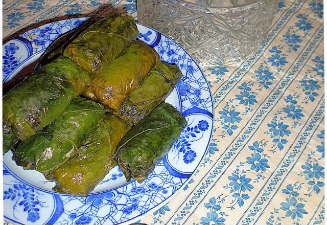 Dolmas aux feuilles de bettes