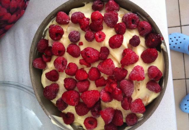 Délicieux tiramisu aux framboises