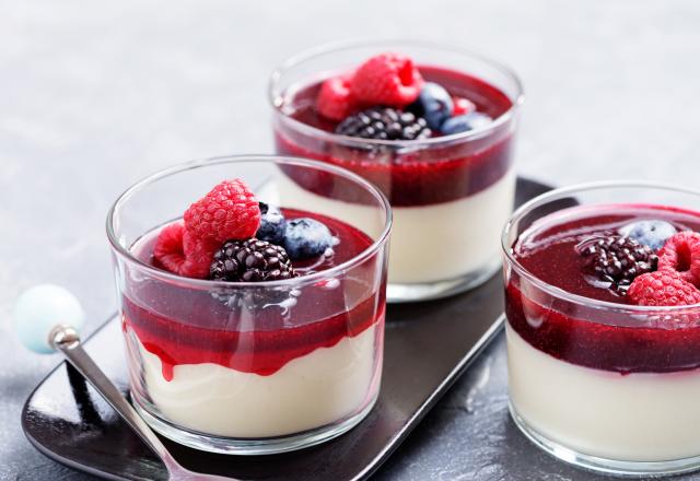 Les recettes faciles de panna cotta