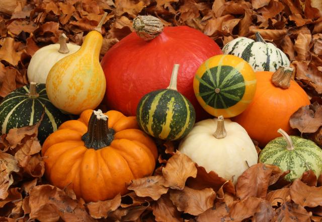 Potiron, courge, butternut : quels légumes peut-on manger avec la peau ?