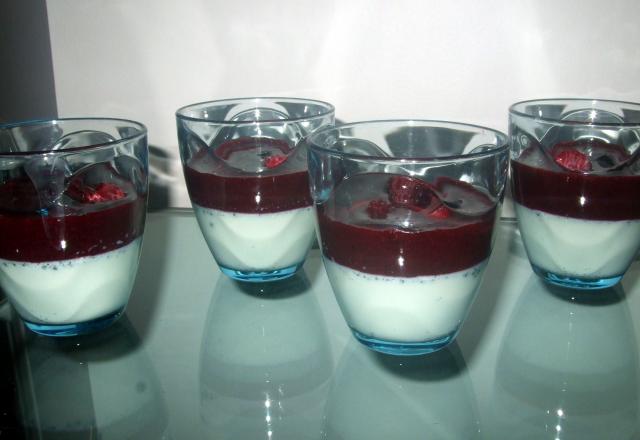 Panna cotta aux fruits rouges italien