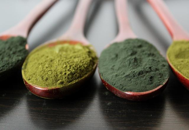 Tout savoir sur la spiruline