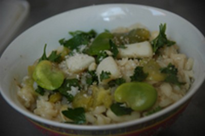 Risotto aux féves et calamars