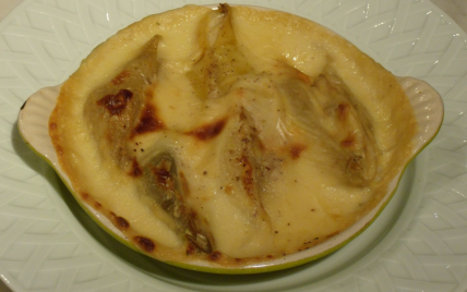 Coquilles en gratin