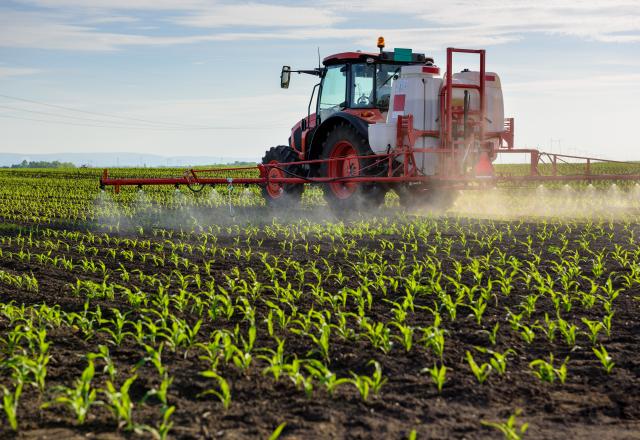 Pesticides dans l’agriculture : à quoi servent-ils ?