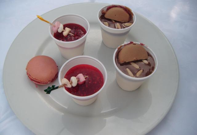 Panna cotta noix de coco malibu