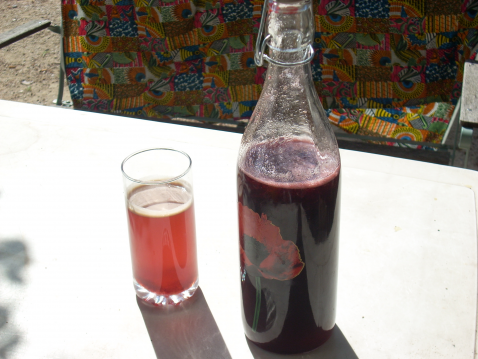 Sirop de cerises maison