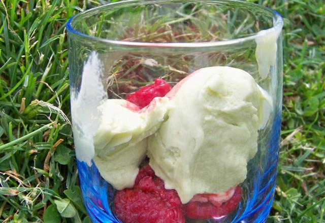 Glace à l'avocat et aux framboises