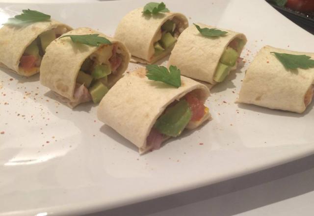 Wraps concombre