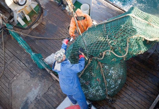 Ce filet de pêche intelligent est la solution pour une pêche plus responsable. On vous explique pourquoi ça va tout changer !