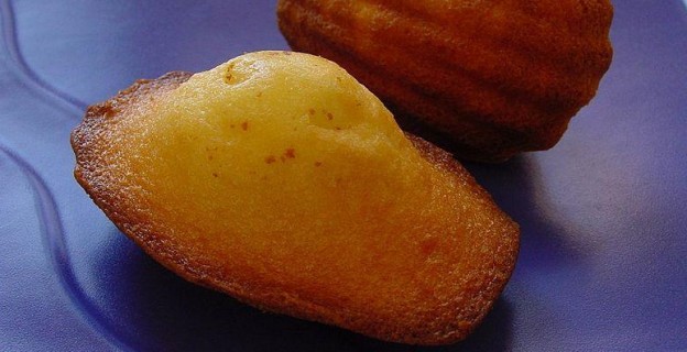 Madeleines : 7 secrets pour les réussir