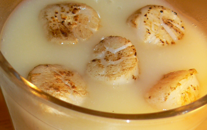 Velouté de chou fleur aux St Jacques